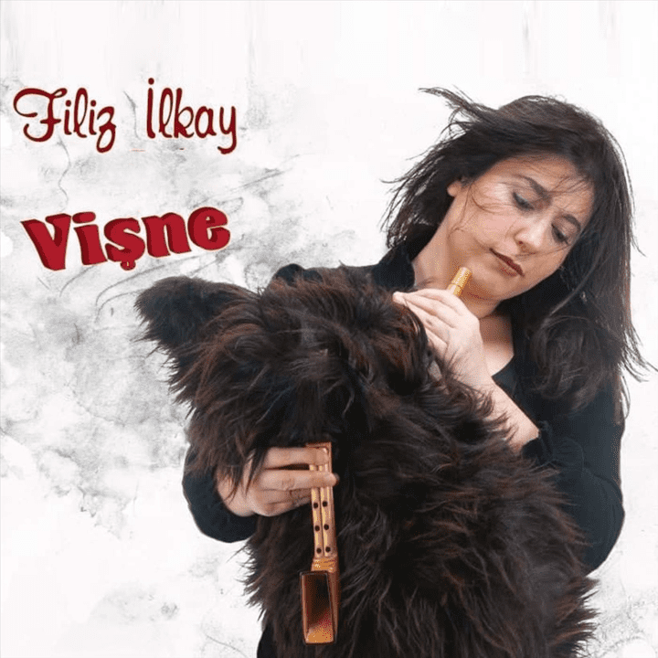 Filiz Ilkay - Visne