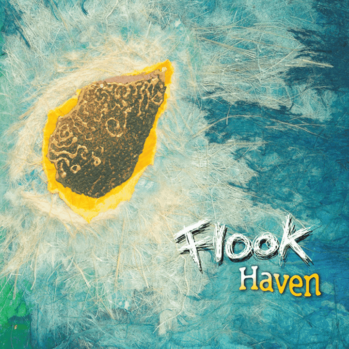 Flook - Haven