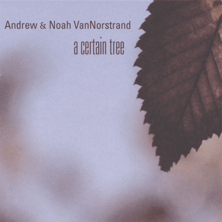 Andrew & Noah Vannorstrand  - A Certain Tree