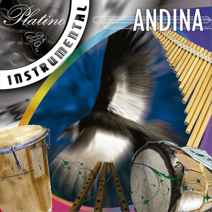 Divers artistes - Platino Instrumental Andina