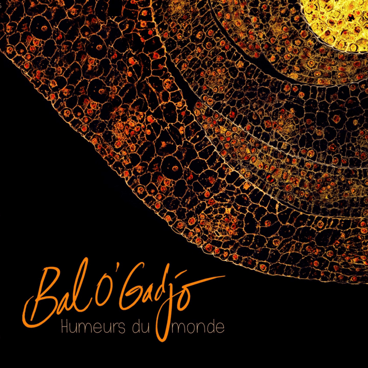 Bal O'Gadjo  - Humeurs du monde