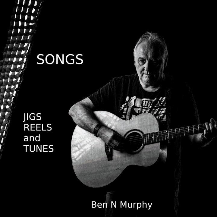 Ben n Murphy  - Songs, Jigs, Reels, and Tunes