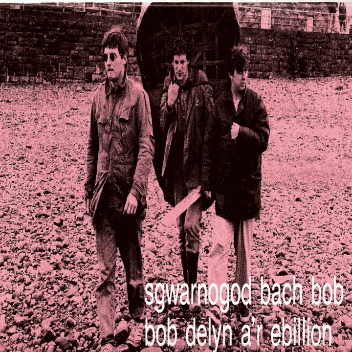 Bob Delyn a'r Ebillion  - Sgwarnogod Bach Bob