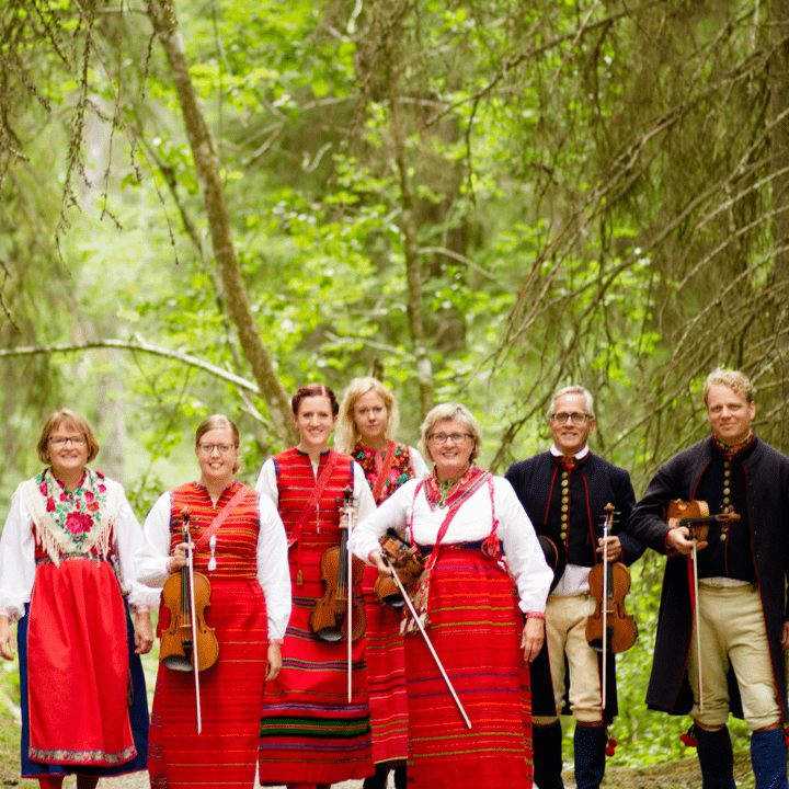 Boda mollkapell  - Bodapolskan lever