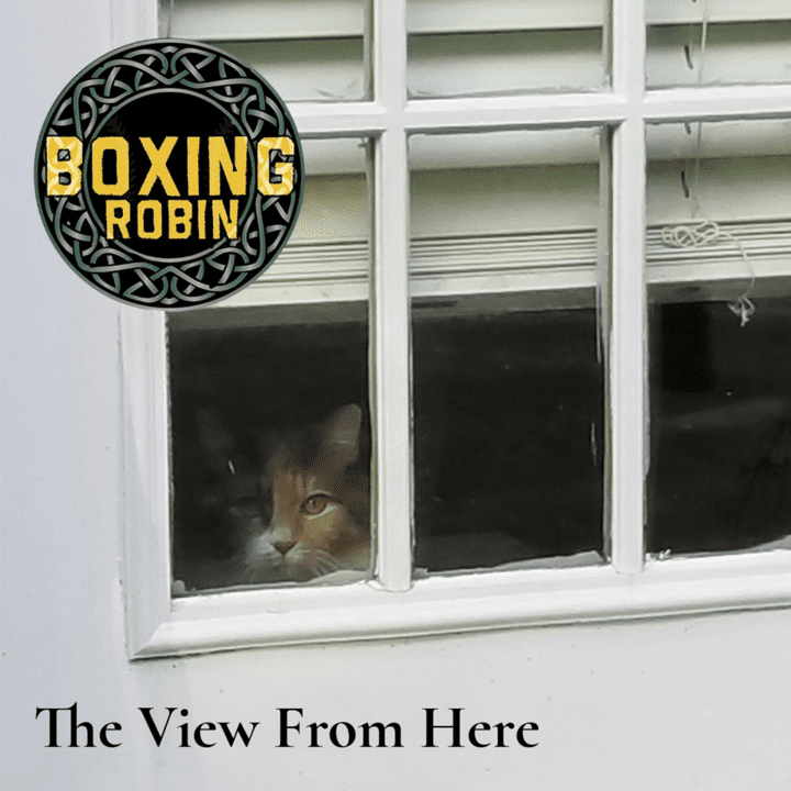 Boxing Robin  - The View from Here