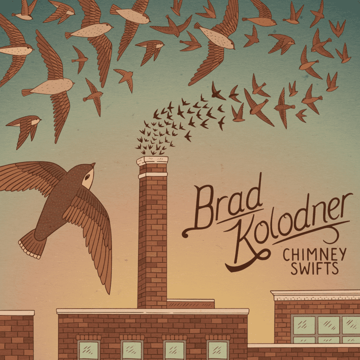 Brad Kolodner  - Chimney Swifts