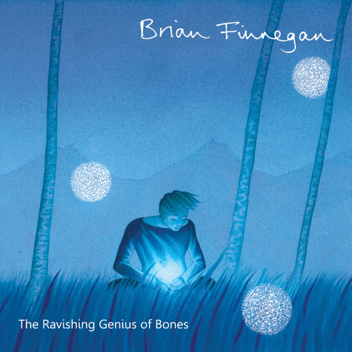 Brian Finnegan - The Ravishing Genius Of Bones