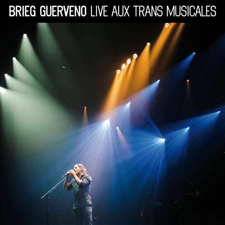 Brieg Guerveno - Live aux Trans Musicales