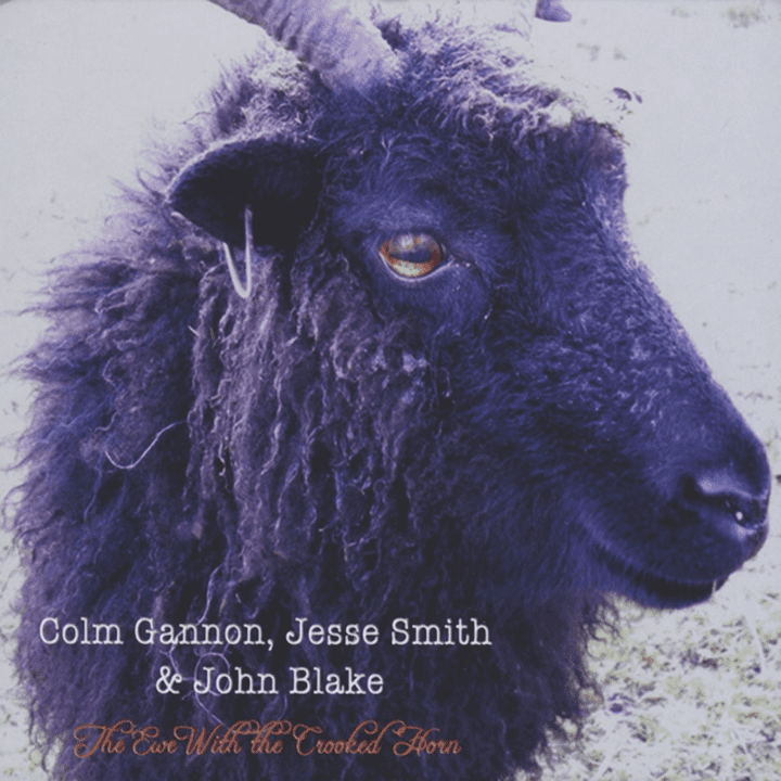 Colm Gannon, Jesse Smith & John Blake  - The Ewe With The Crooked Horn