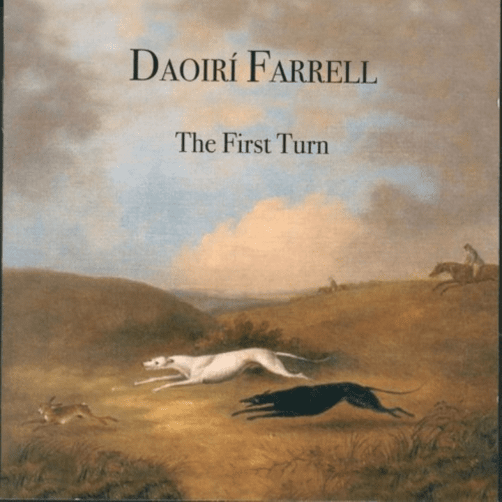 Daoirí Farrell - The First Turn