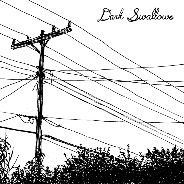 Dark Swallows - II