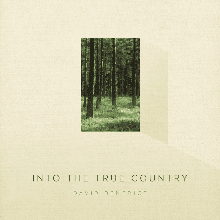 David Benedict - Into the True Country