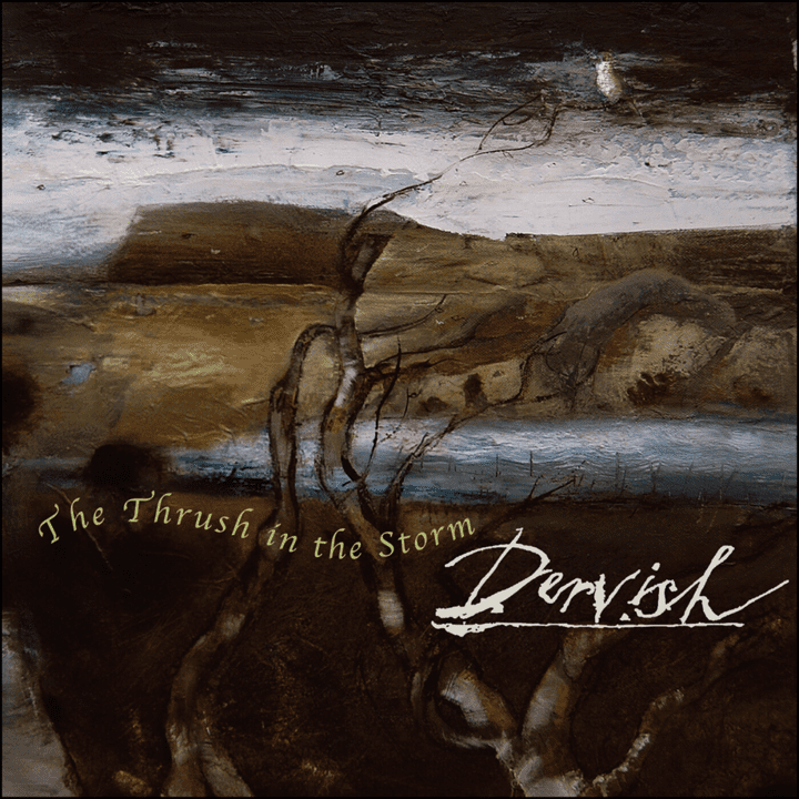 Dervish - The Thrush In The Storm