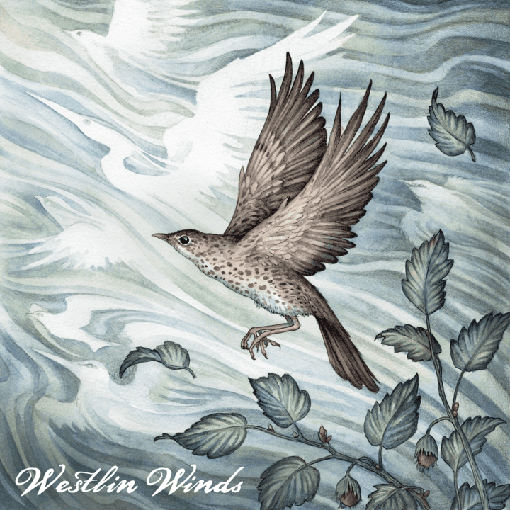 The Wilderness Yet - Westlin Winds