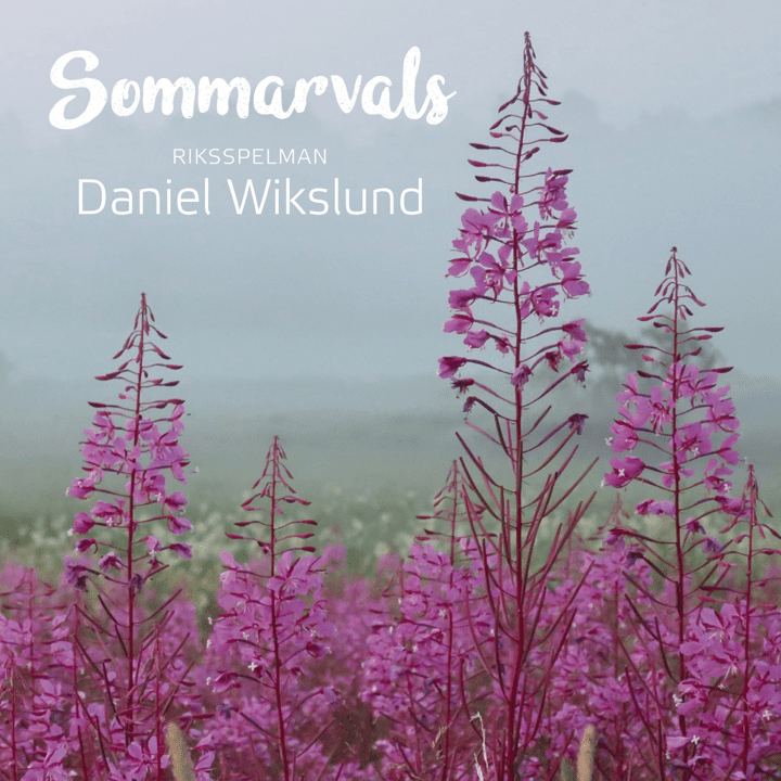 Daniel Wikslund - Sommarvals