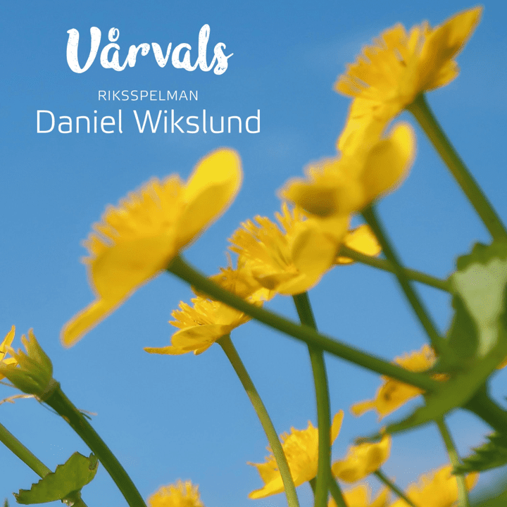 Daniel Wikslund - Vårvals