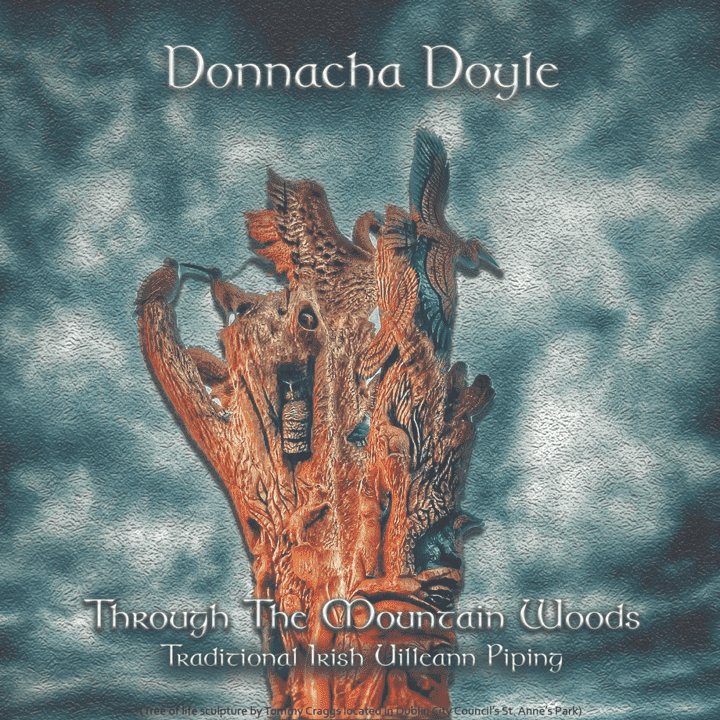 Donnacha Doyle - Through the Mountain Woods