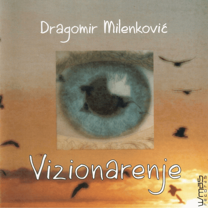 Dragomir Milenkovic - Vizionarenje