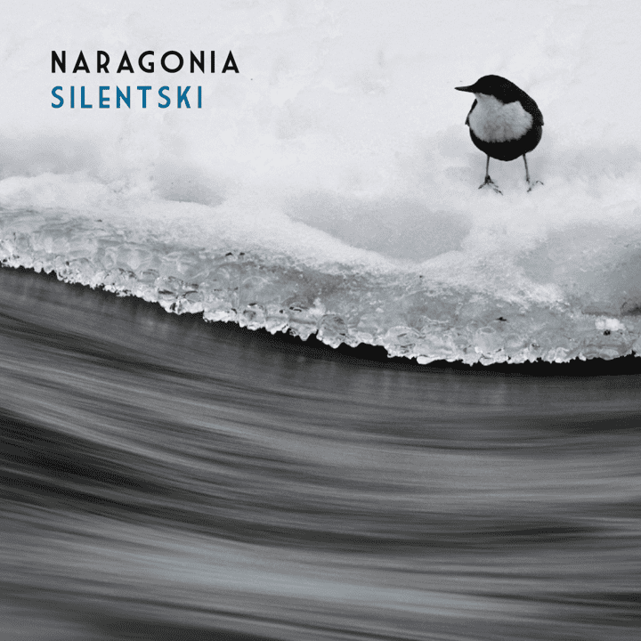 Naragonia - Silentski