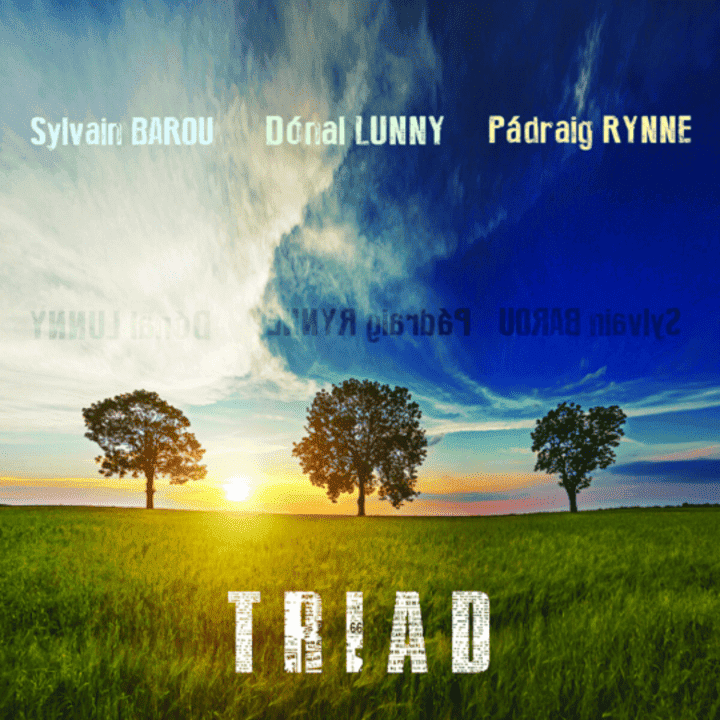 Padraig Rynne, Donal Lunny, Sylvain Barou - Triad