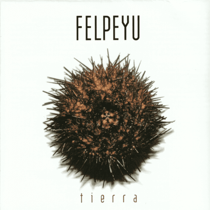 Felpeyu - Tierra