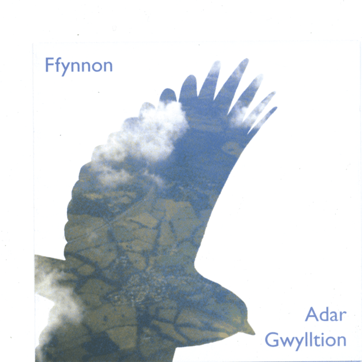 Ffynnon - Adar Gwylltion