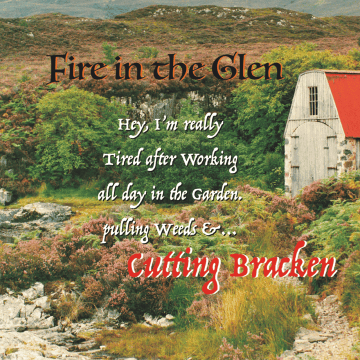 Fire in the Glen - Cutting Bracken