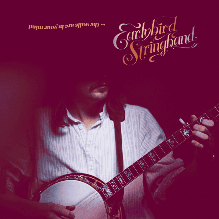 Earlybird Stringband - The Walls Are in Your Mind