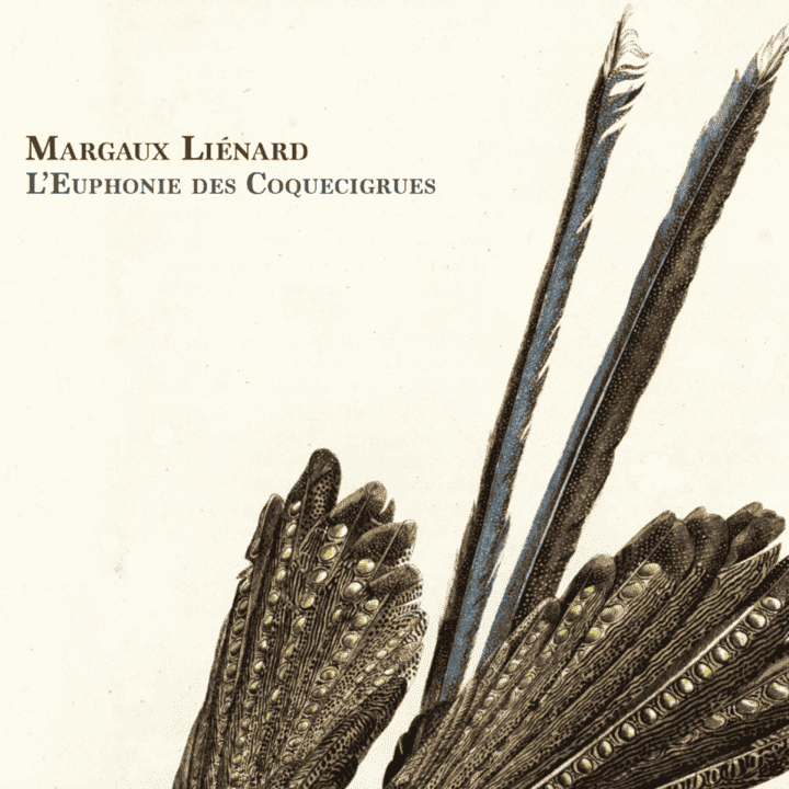 Margaux Lienard - L'Euphonie des Coquecigrues