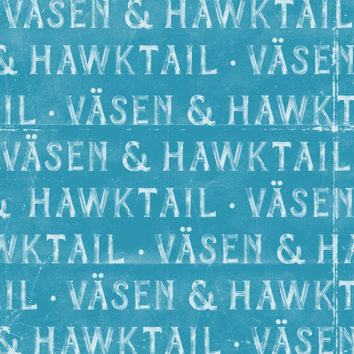 Väsen, Hawktail - Väsen & Hawktail