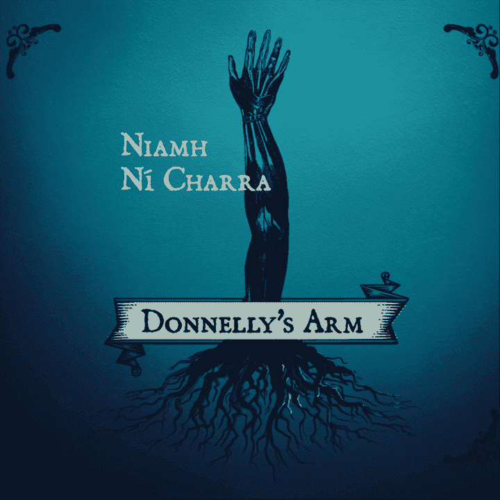 Niamh Ní Charra - Donnelly's Arm