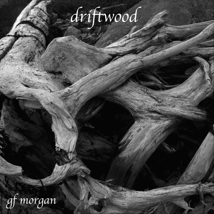 Gf Morgan - Driftwood