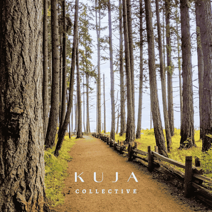 Kuja Collective - Kuja