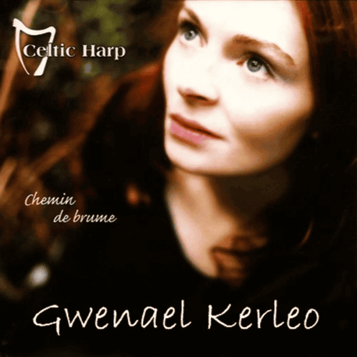 Gwenael Kerleo - Chemin de brume