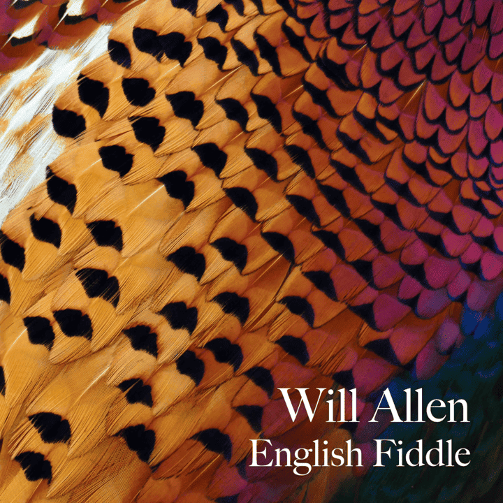 Will Allen - English Fiddle