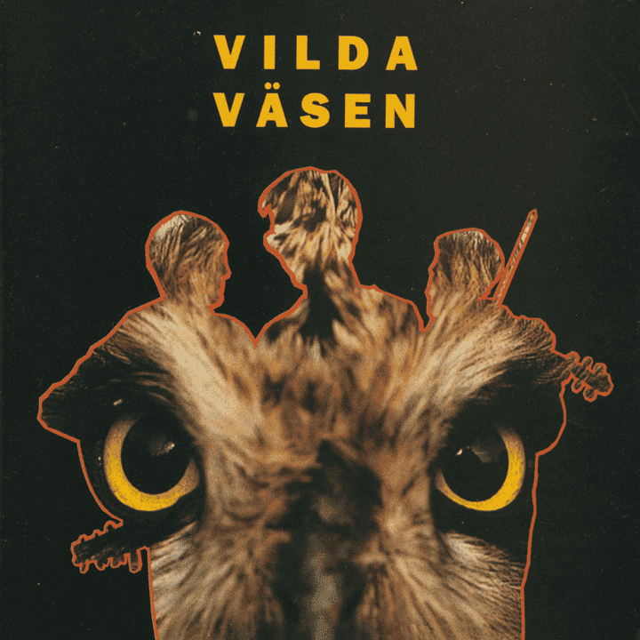 Väsen - Vilda