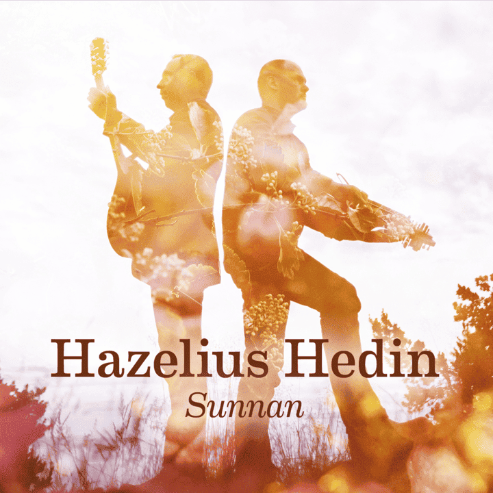 Hazelius Hedin - Sunnan