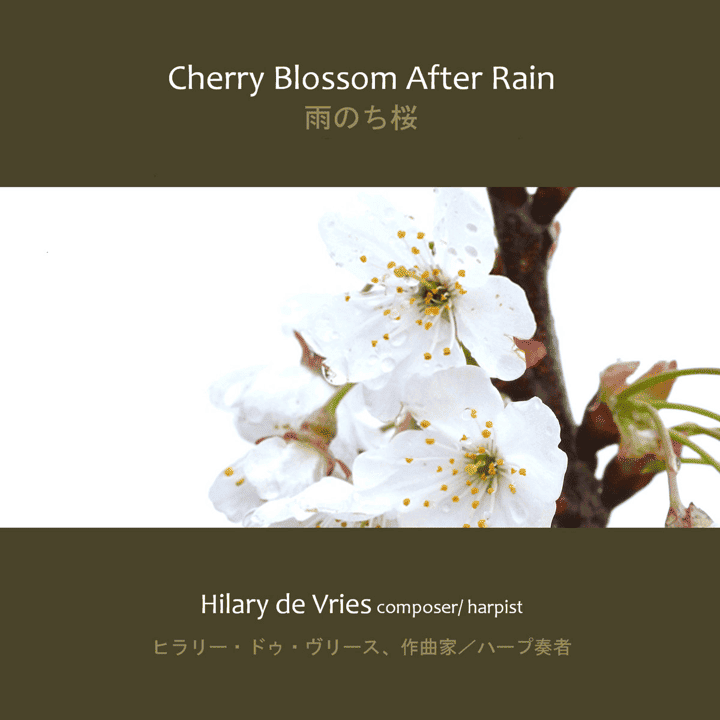 Hilary de Vries - Cherry Blossom After Rain