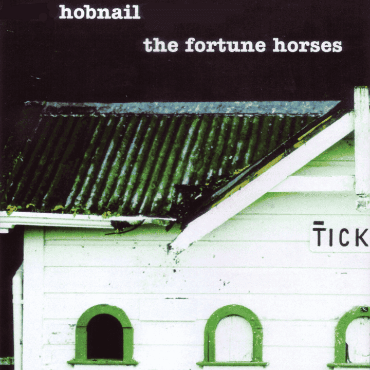 Hobnail - The Fortune Horses