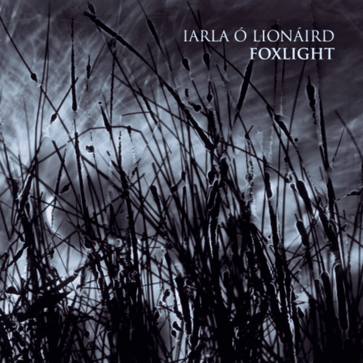 Iarla Ó Lionáird - Foxlight