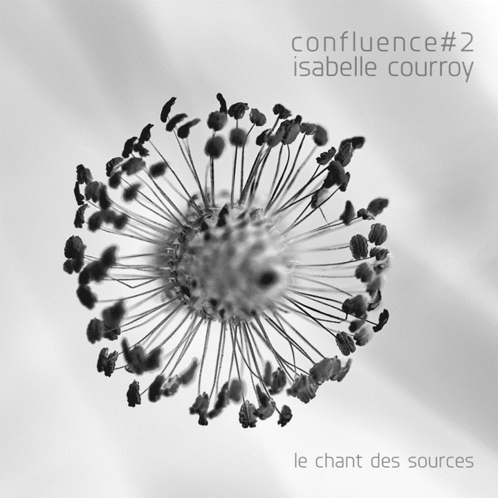 Isabelle Courroy - Confluence #2