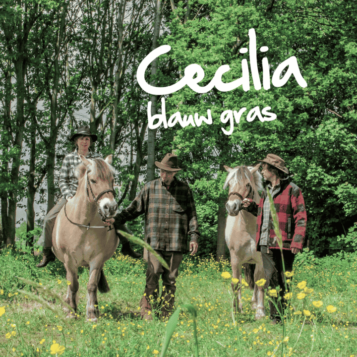 Cecilia - Blauw gras