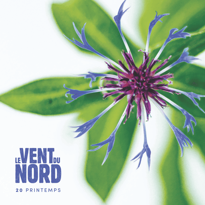 Le Vent du Nord - 20 printemps