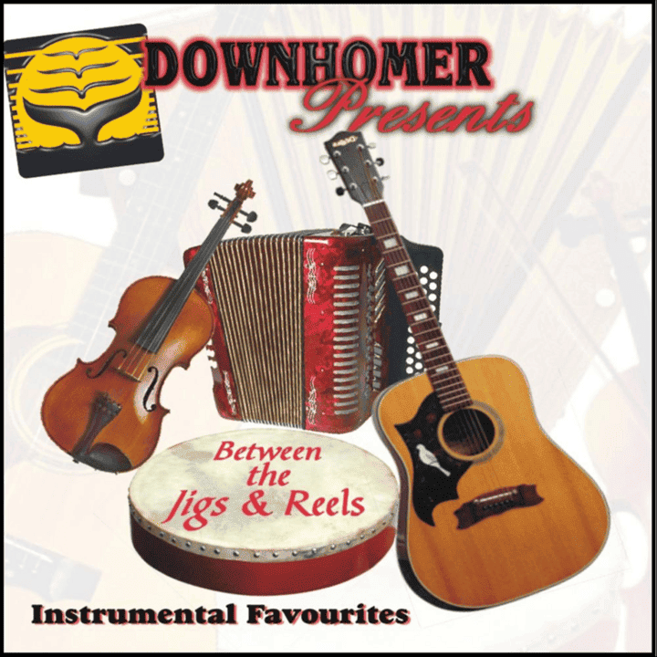 Divers artistes - Downhome Instrumental Favourites