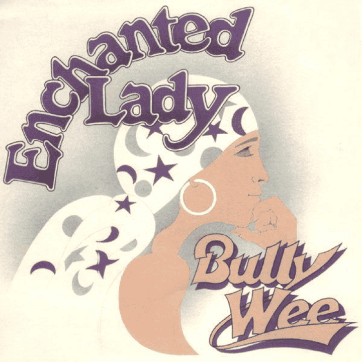 The Bully Wee Band - Enchanted Lady