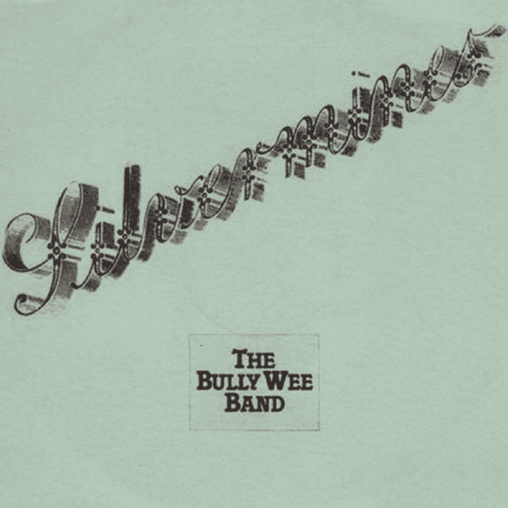 The Bully Wee Band - Silvermines