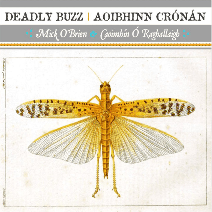 Mick O'Brien, Caoimhín Ó Raghallaigh - Deadly Buzz  Aoibhinn Crónán