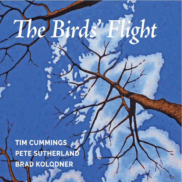 Timothy Cummings, Brad Kolodner & Pete Sutherland - The Birds' Flight