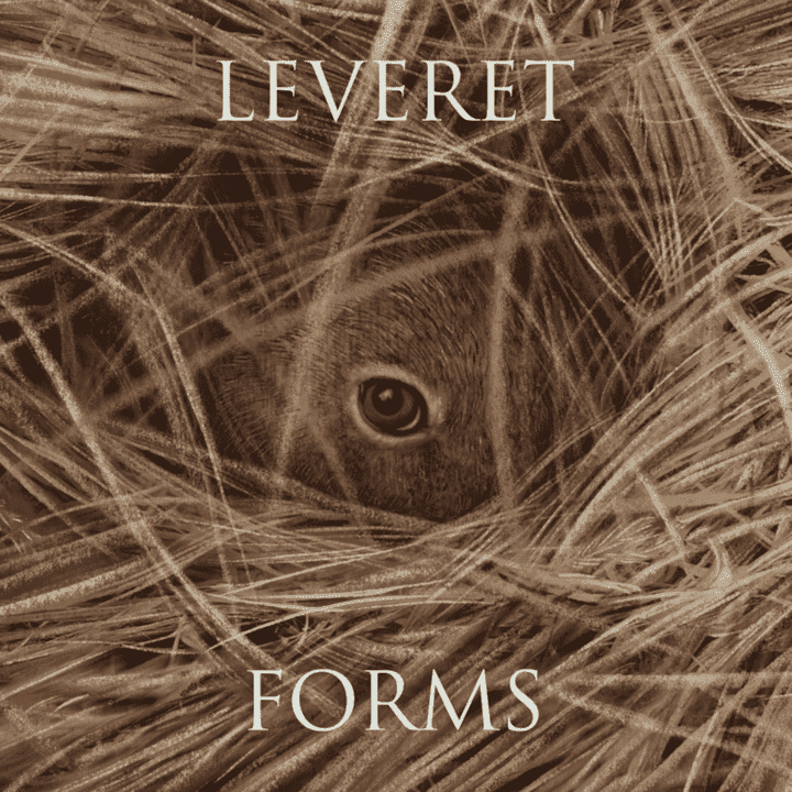 Leveret - Forms