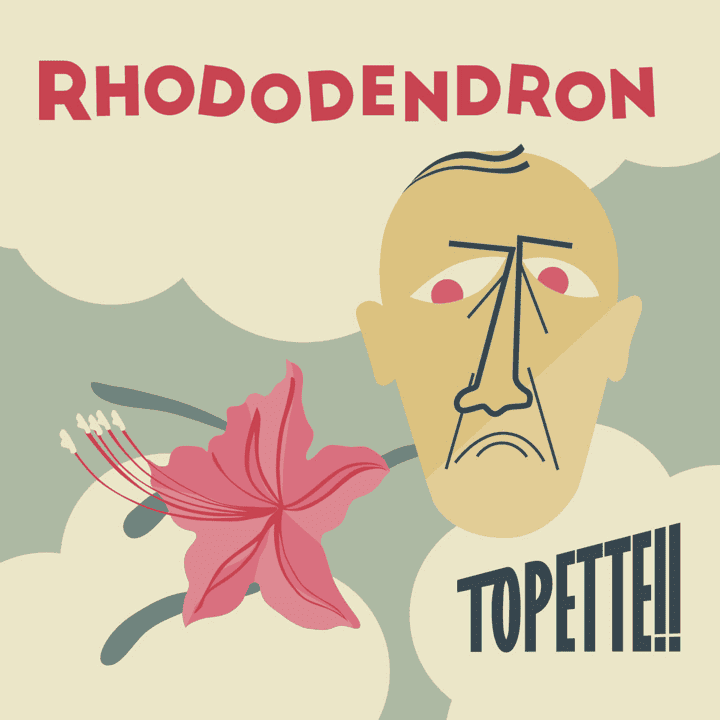 Topette!! - Rhododendron